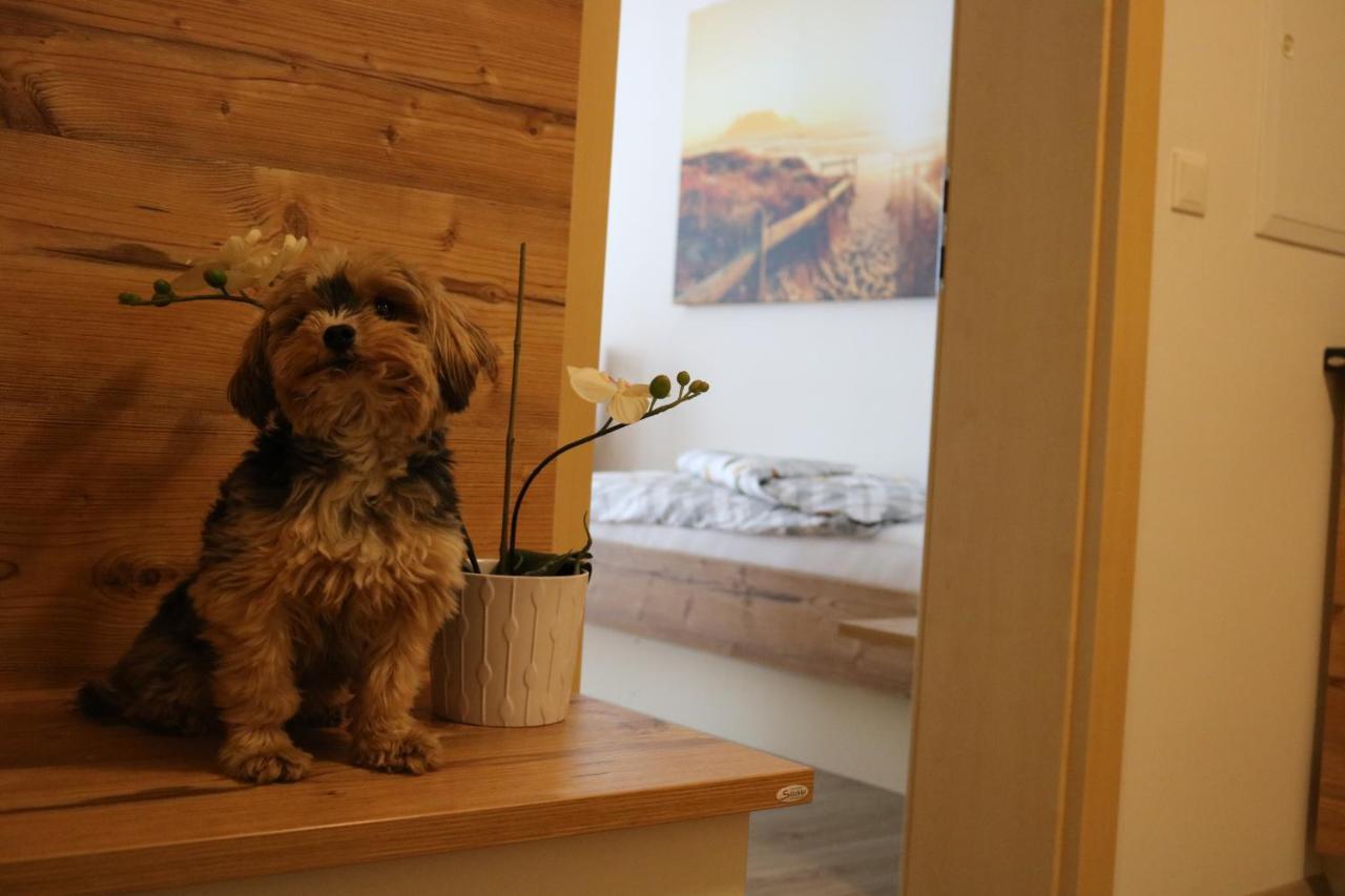 Zirben Diamant Rooms & Dogs Obdach Esterno foto